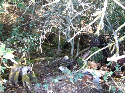 Steinlachsgraben Abfall am Muldenrand