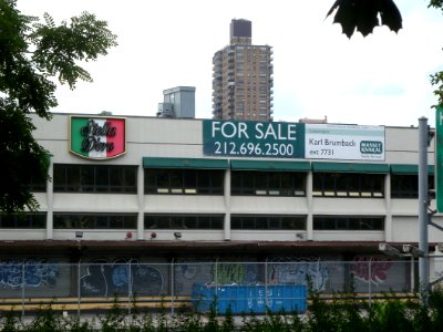 Stella Doro for sale E jeh