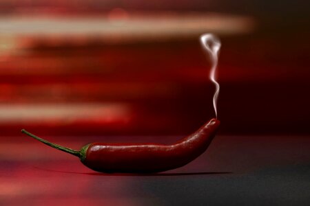 Chilli red paprika photo