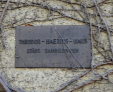 Tübingen, Neckarhalde 31, Detail