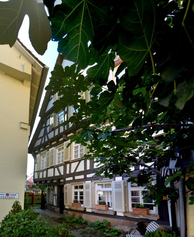 Tübingen, Froschgasse 9 (1)