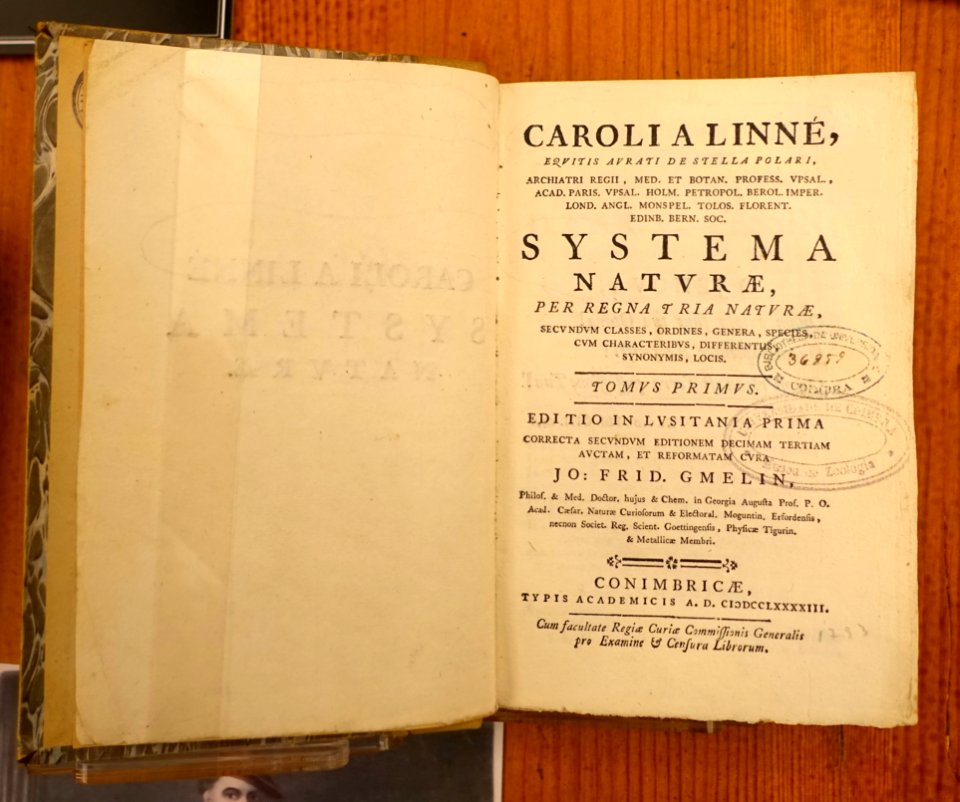 Systema Naturae, volume 1, 2nd edition, Conibricae (Coimbra), 1783 - Museu da Ciência da Universidade de Coimbra - University of Coimbra - Coimbra, Portugal - DSC09308