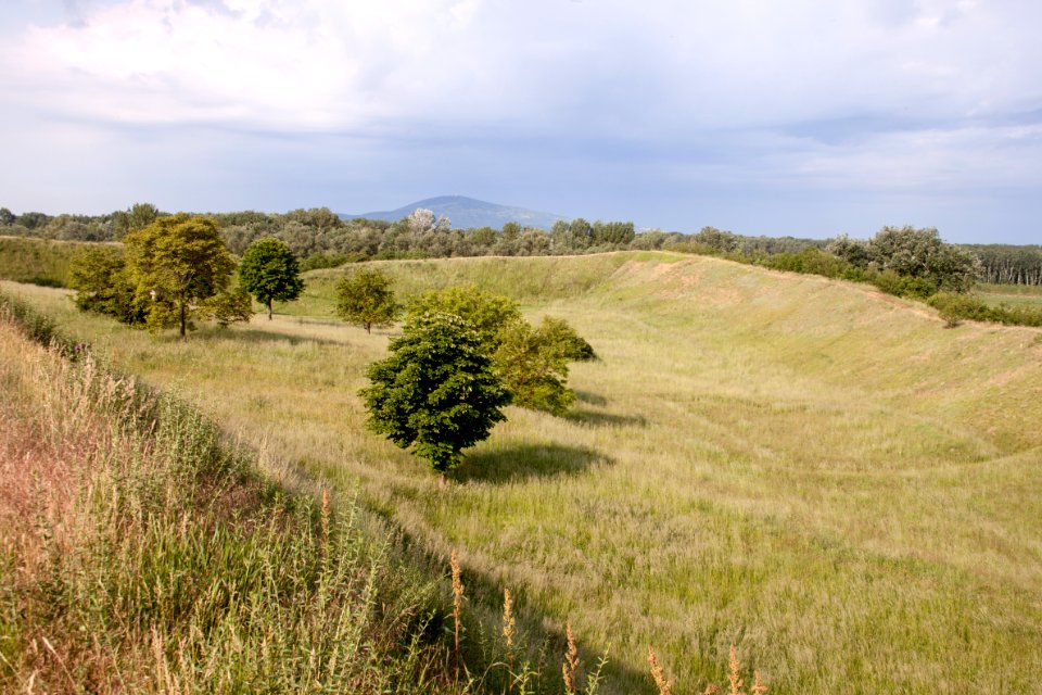 Szabolcs earthwork, interior, in the background the hill of Tokaj