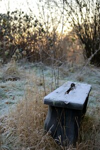 Frost silence winter