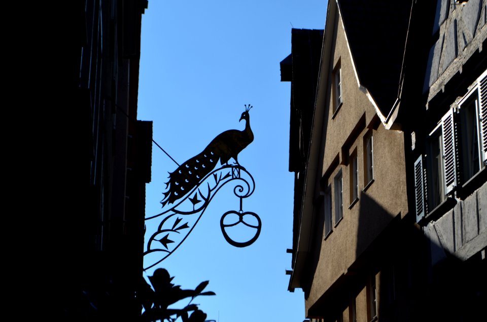 Tübingen, Kornhausstraße 1, Schild (1)