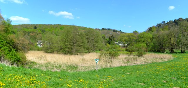 Tümpel an der Erbismühle