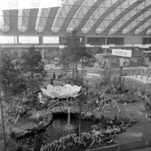 Tentoonstelling voor tweewielers in de RAI te Amsterdam, overzicht verschillende, Bestanddeelnr 916-1003