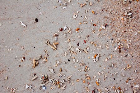 Pebble stones sand photo