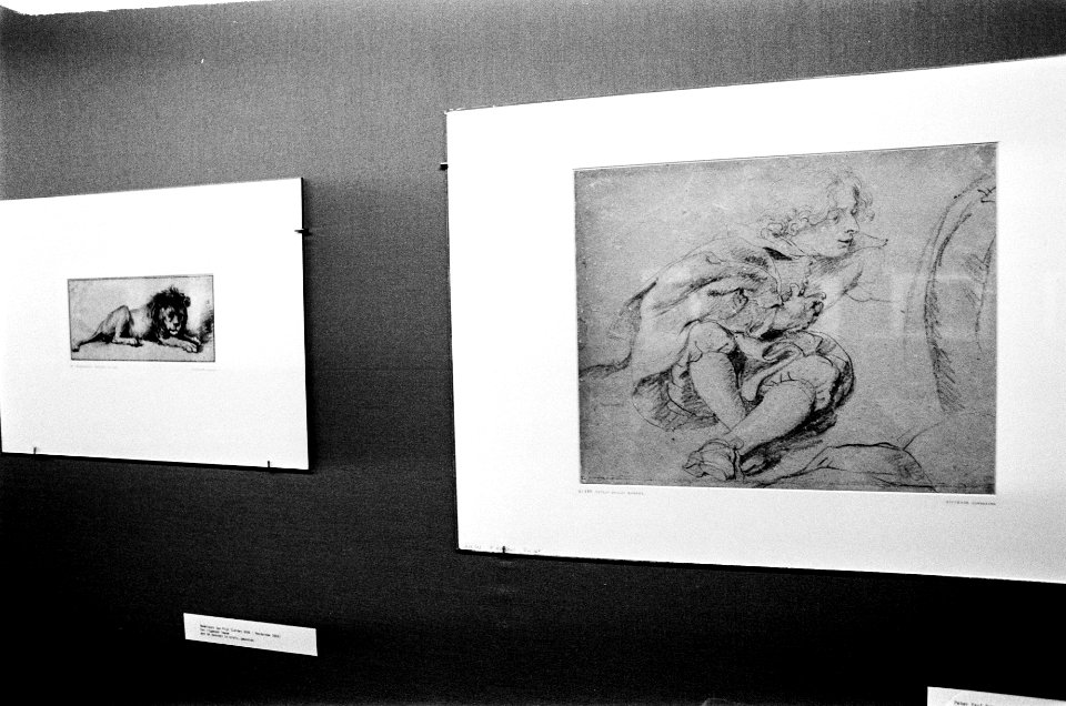 Tentoonstelling van Fodor-collectie in Amsterdams Historisch Museum, Bestanddeelnr 927-8316