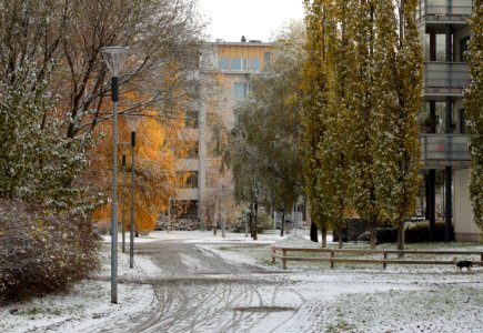 Tervaraitti Oulu 20161026