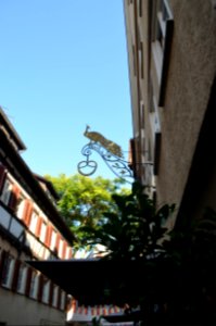 Tübingen, Kornhausstraße 1, Schild
