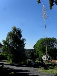 Týřovice, Pačejovsko 6
