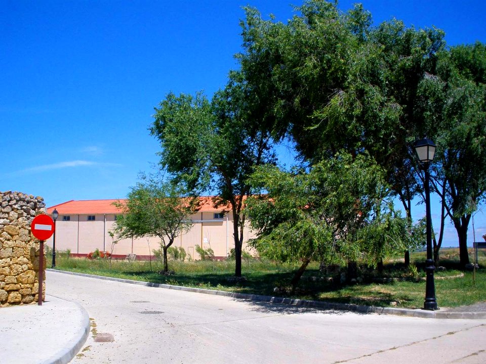 Támara de Campos 28