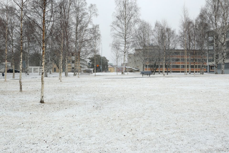 Tervaporvarinpuisto Oulu 20200413