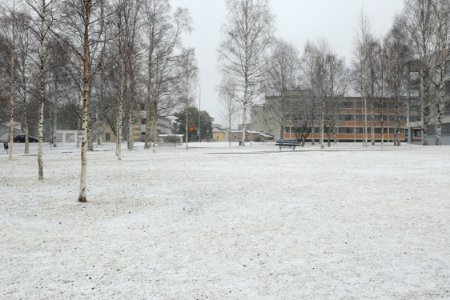 Tervaporvarinpuisto Oulu 20200413