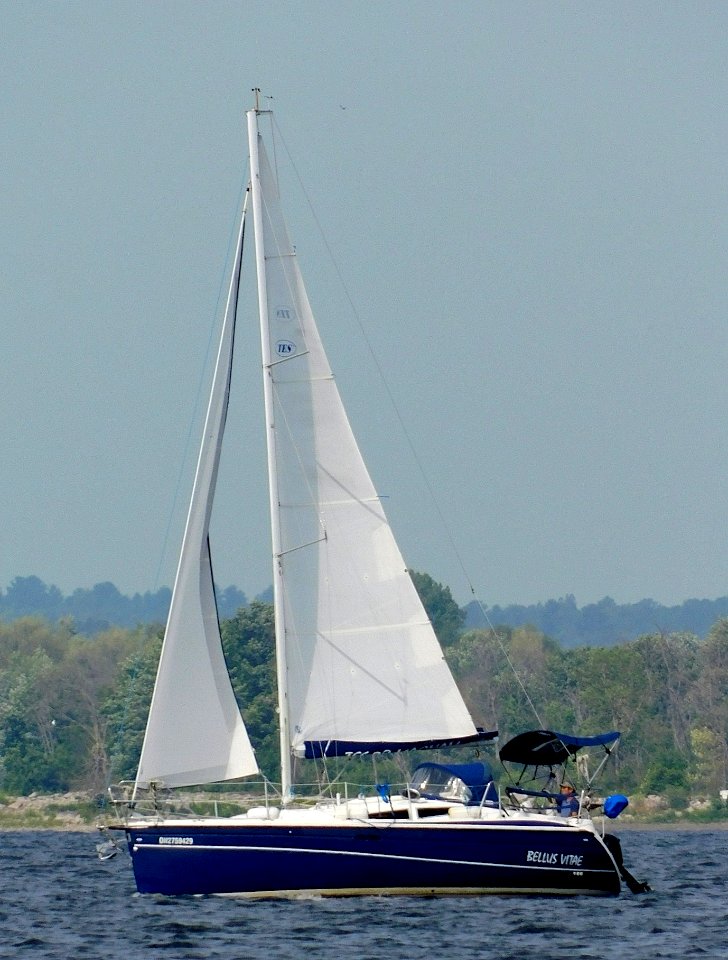 TES 28 Magnam sailboat Bellus Vitae 4911