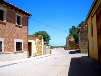 Támara de Campos 27
