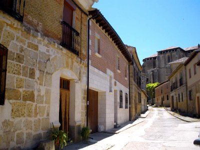 Támara de Campos 25