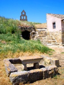 Támara de Campos 31