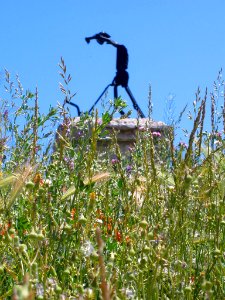 Támara de Campos - Desde el Mirador del Castillo