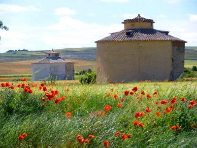 Támara de Campos 08