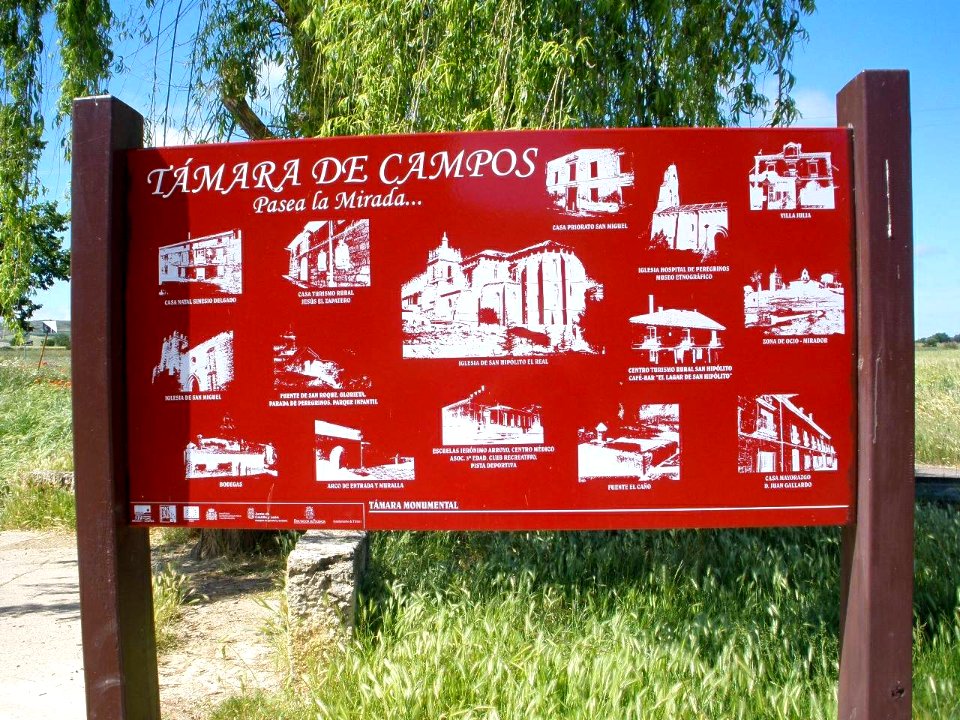 Támara de Campos 11