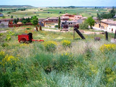 Támara de Campos - Mirador del Castillo 07
