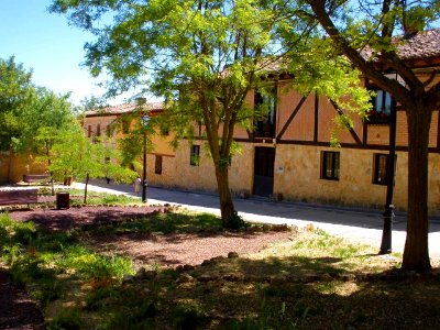 Támara de Campos 22