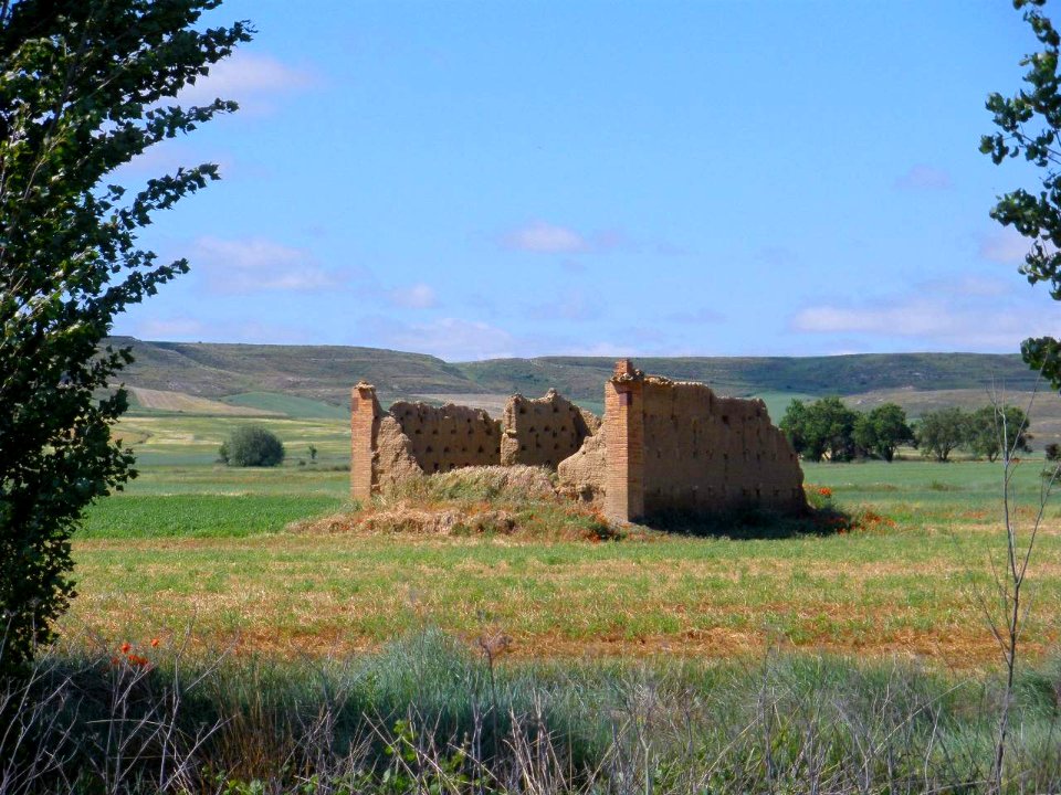 Támara de Campos 07