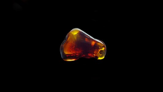 Shiny jewellery fossilized resins