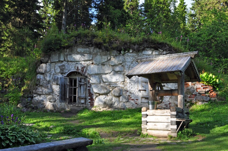 Solovki nature forest