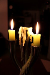 Nocturne warm green