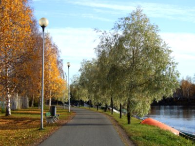 Tervaporvarintie Oulu 20071006