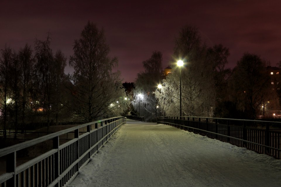 Tervaporvarin sillat Oulu 20141227