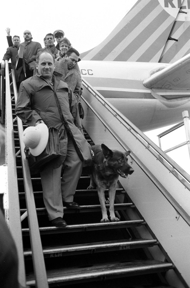 Terugkeer van Roy Roland , reddingshond uit Peru Aankomst op Schiphol, Bestanddeelnr 913-4370