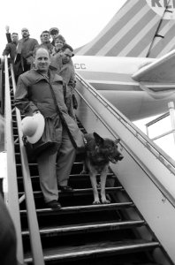Terugkeer van Roy Roland , reddingshond uit Peru Aankomst op Schiphol, Bestanddeelnr 913-4370
