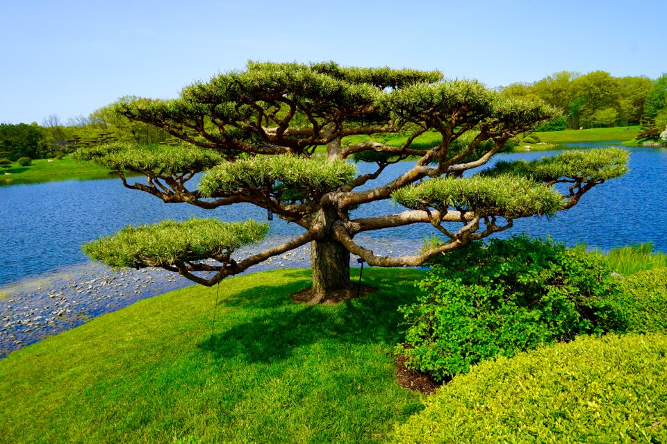 Nature botanic garden peaceful