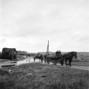 Terugkerende evacué 's in Limburg, Bestanddeelnr 900-2184