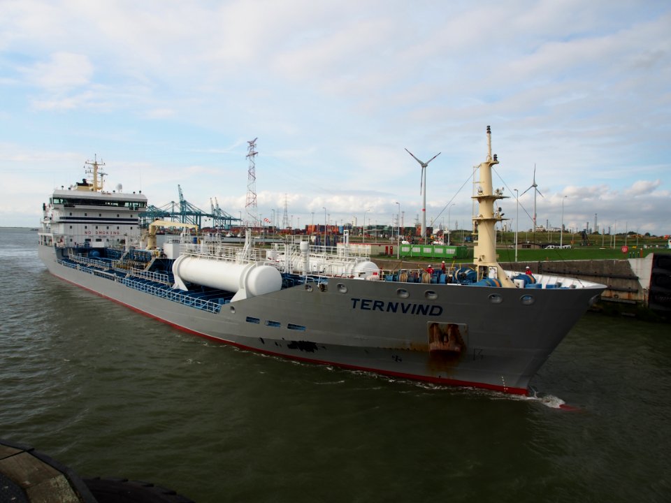 Ternvind (ship, 2008), IMO 9425356 - Callsign 9HLY9, Berendrechtsluis, Port of Antwerp pic4