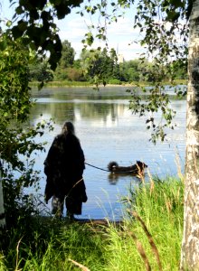 Töölönlahti - DSC03879