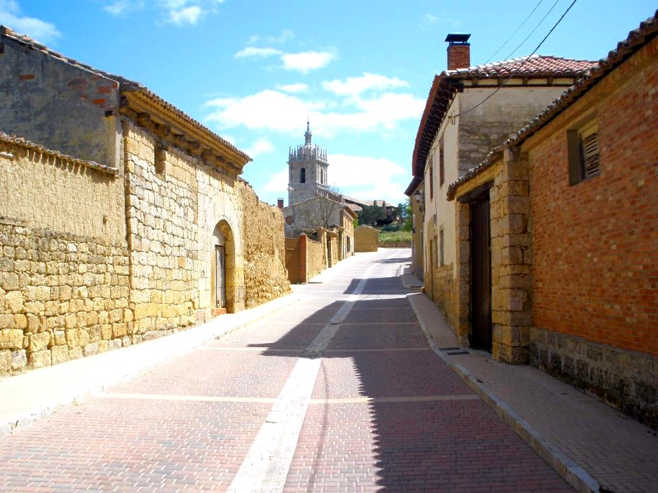 Támara de Campos 12