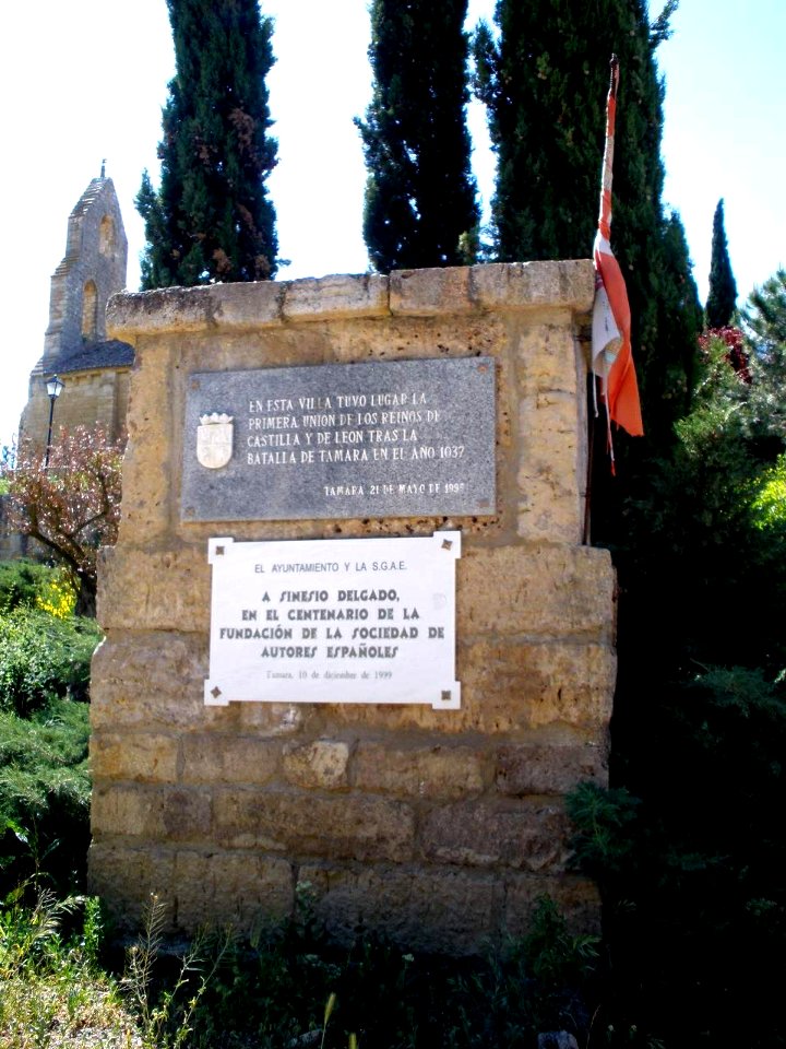 Támara de Campos - Mirador del Castillo 04