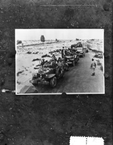 Terugtocht Israelische troepen uit Egypte (Sinai), Bestanddeelnr 908-1923