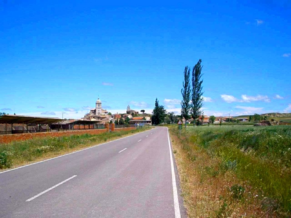 Támara de Campos 02