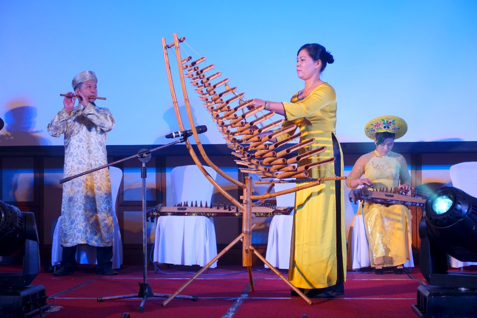 T'rung performance - Da Nang, Vietnam - DSC02197