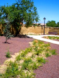 Támara de Campos 23