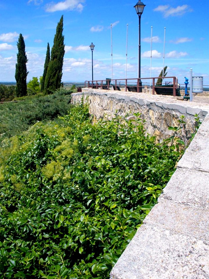 Támara de Campos - Mirador del Castillo 02