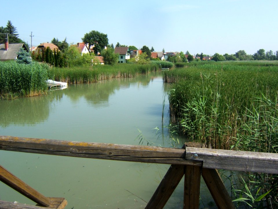 Szigetszentmiklós, Duna-part