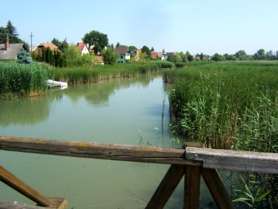 Szigetszentmiklós, Duna-part