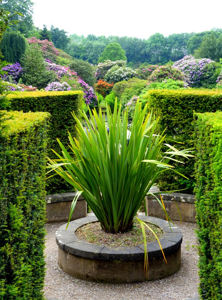 Terrace - Biddulph Grange Garden - Staffordshire, England - DSC09485